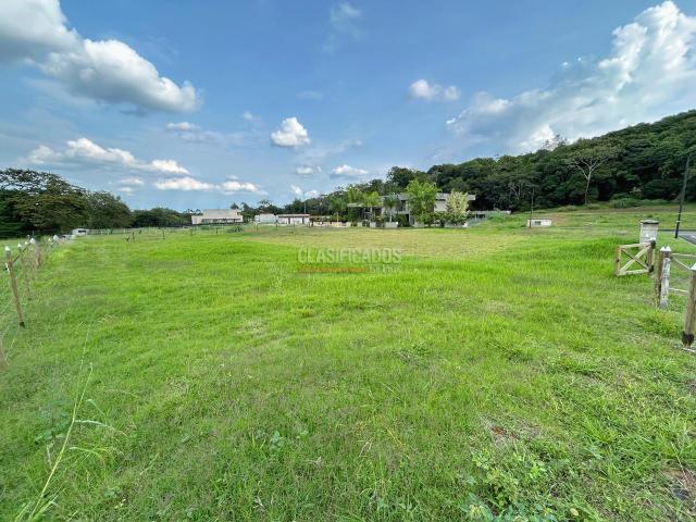 Lotes, Venta en Pance