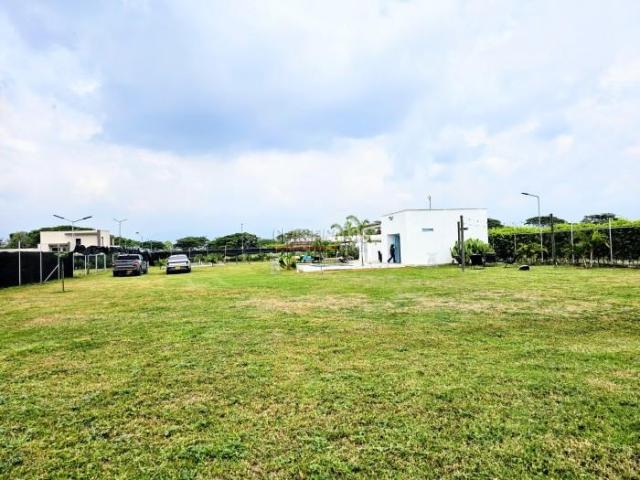 Lotes, Venta en Palmira