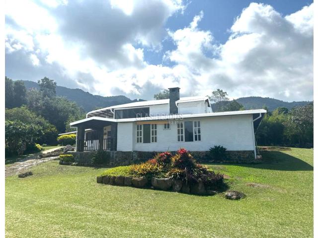 Casas, Alquiler en Dapa