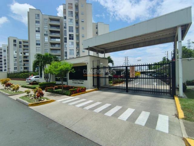 Apartamentos, Alquiler en Jamundí