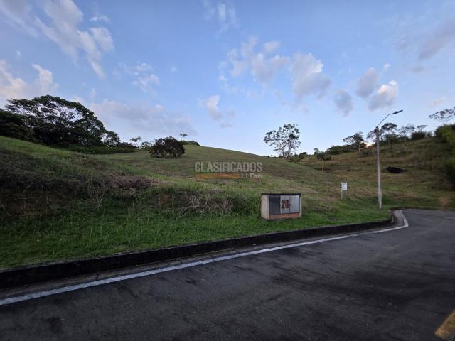 Lotes, Venta en Pance