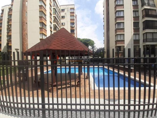 Apartamentos, Alquiler en Camino Real