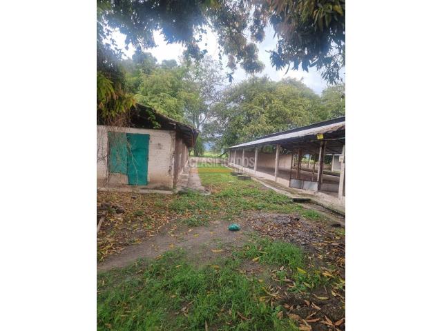 Fincas y Casas Campestres, Alquiler en Guacarí