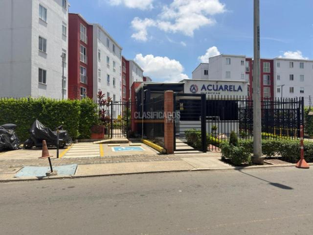 Apartamentos, Alquiler en Ciudad Pacifica