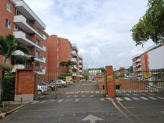Apartamentos, Alquiler en El Limonar