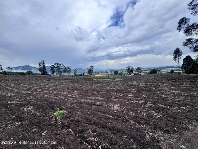Lotes, Venta en Bojaca