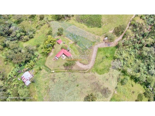 Casas, Venta en Quipile