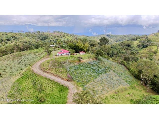 Casas, Venta en Quipile