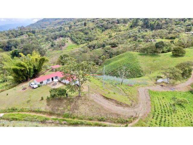 Casas, Venta en Quipile