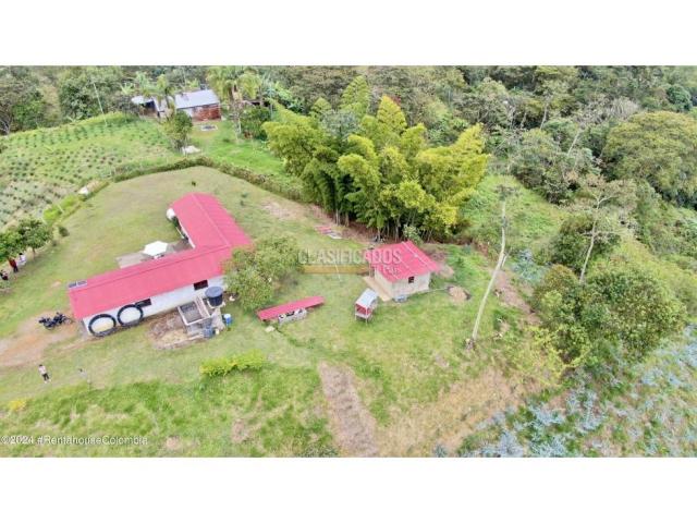 Casas, Venta en Quipile