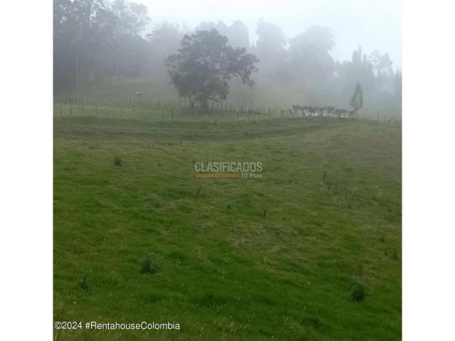 Lotes, Venta en Bojaca