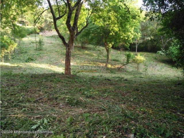 Lotes, Venta en Ricaurte