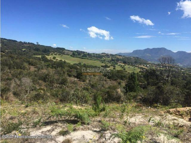 Lotes, Venta en Chía