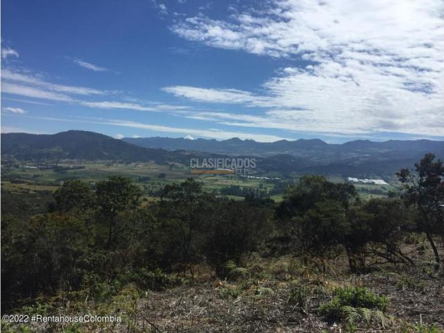 Lotes, Venta en Chía