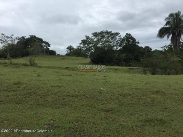 Lotes, Venta en Carmen de Apicala