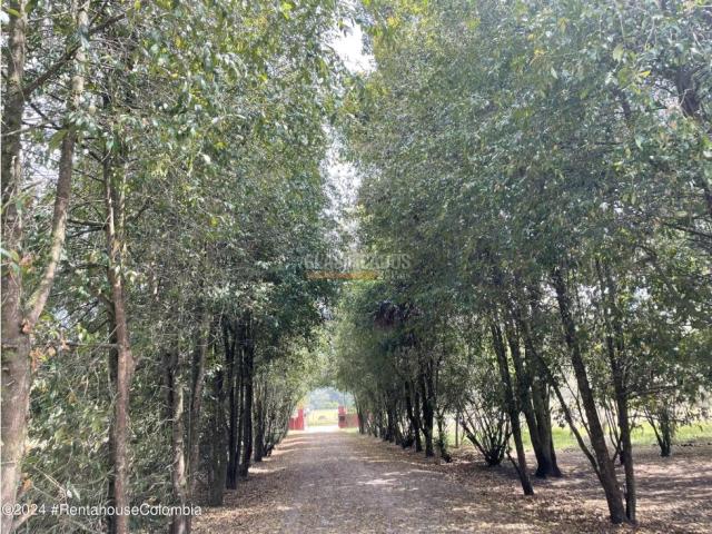 Apartamentos, Alquiler en La Calera