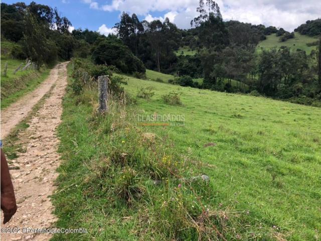 Lotes, Venta en La Calera