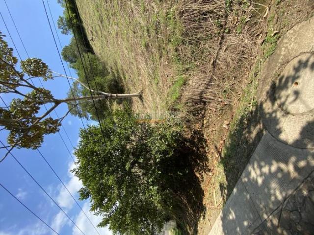 Lotes, Venta en Jamundí