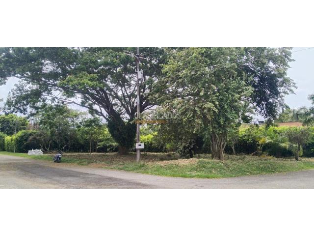 Lotes, Venta en Jamundí