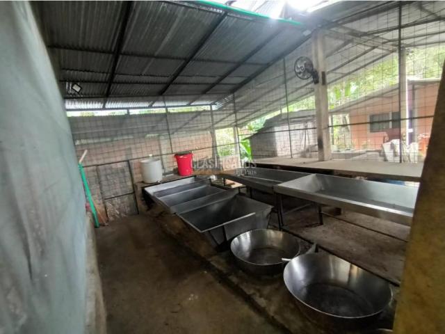 Fincas y Casas Campestres, Venta en Guacarí