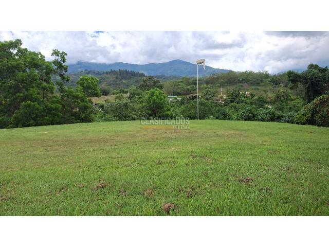 Lotes, Venta en Palmira