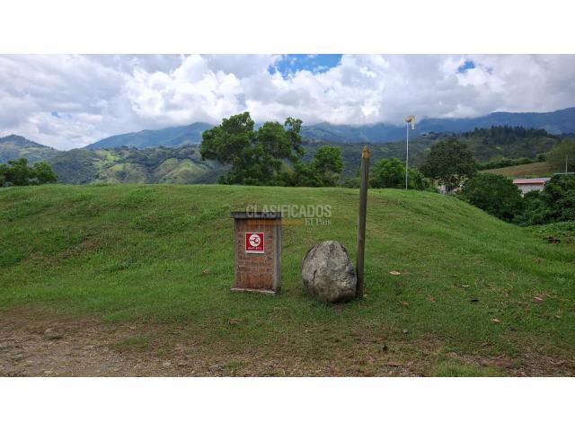 Lotes, Venta en Palmira