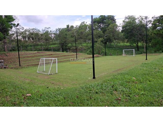 Lotes, Venta en Palmira