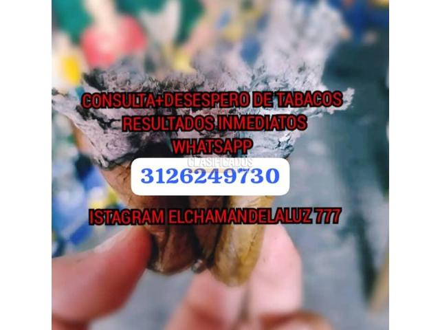 EL CHAMAN DE LA LUZ777