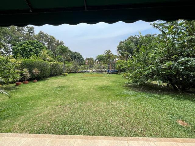 Casas, Alquiler en Ciudad Jardín