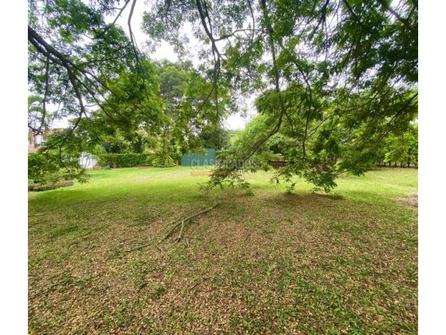 Lotes, Venta en Palmira