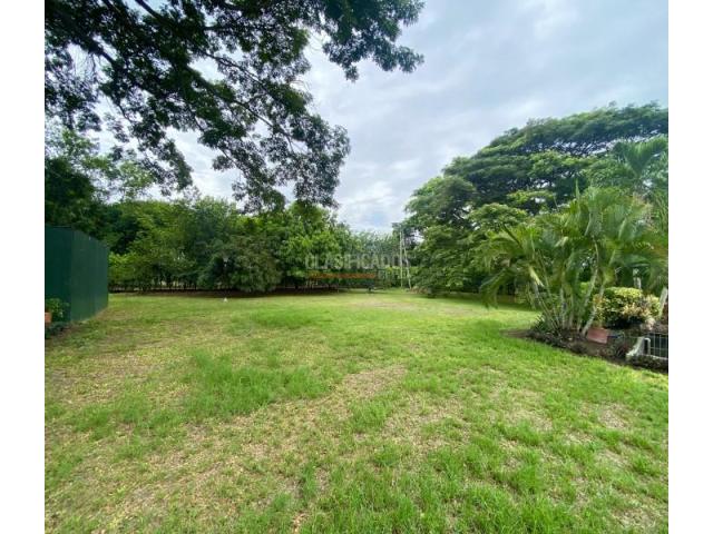 Lotes, Venta en Palmira