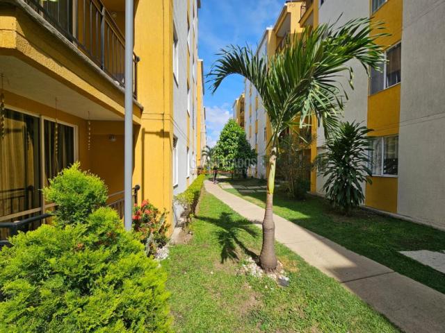 Apartamentos, Alquiler en Candelaria