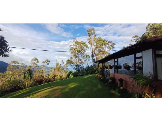 Edificios, Venta en Dapa