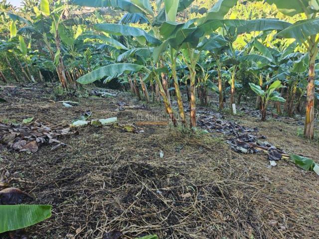 Lotes, Venta en Pereira