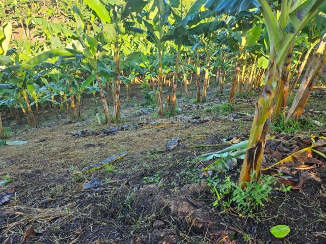 Lotes, Venta en Pereira