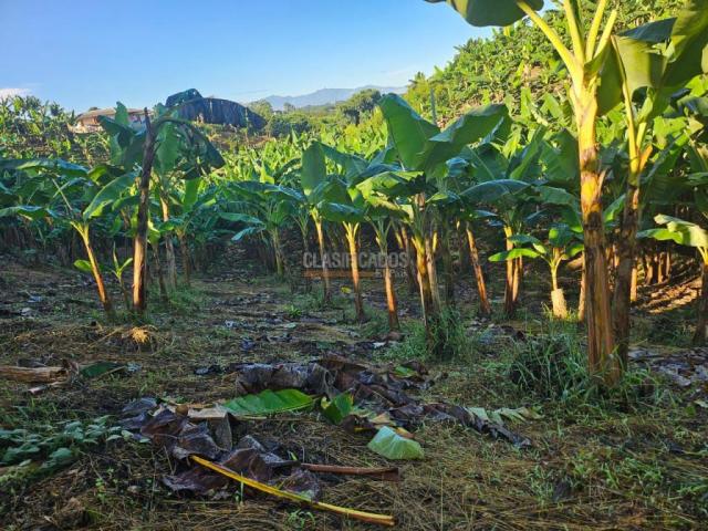 Lotes, Venta en Pereira