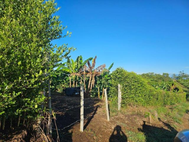 Lotes, Venta en Pereira