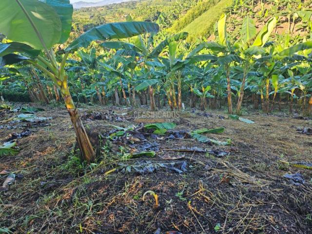 Lotes, Venta en Pereira