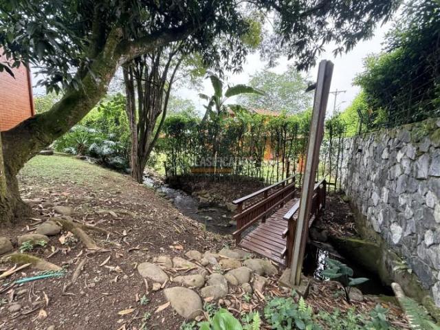 Casas, Alquiler en Pance