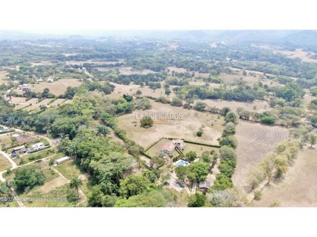 Lotes, Venta en Carmen de Apicala