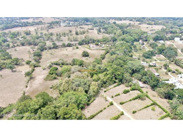 Lotes, Venta en Carmen de Apicala