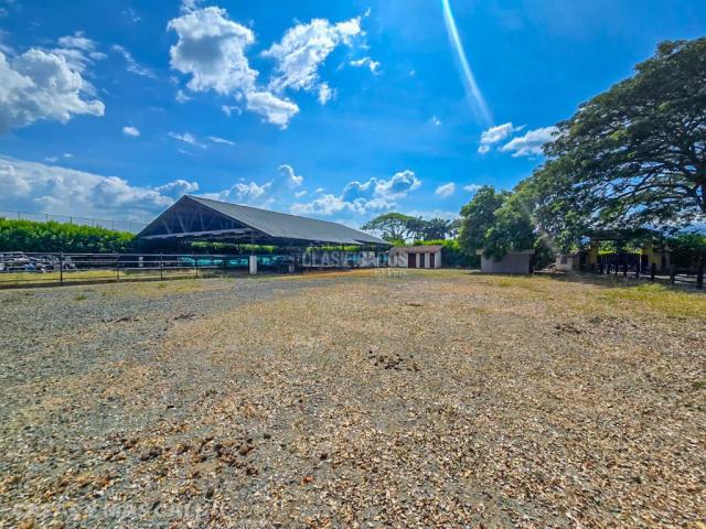 Lotes, Venta en Palmira