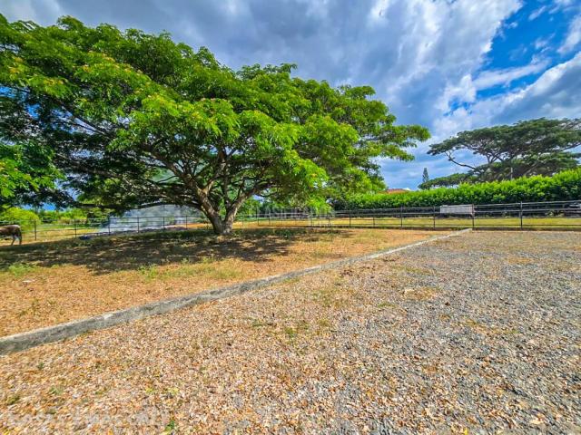 Lotes, Venta en Palmira