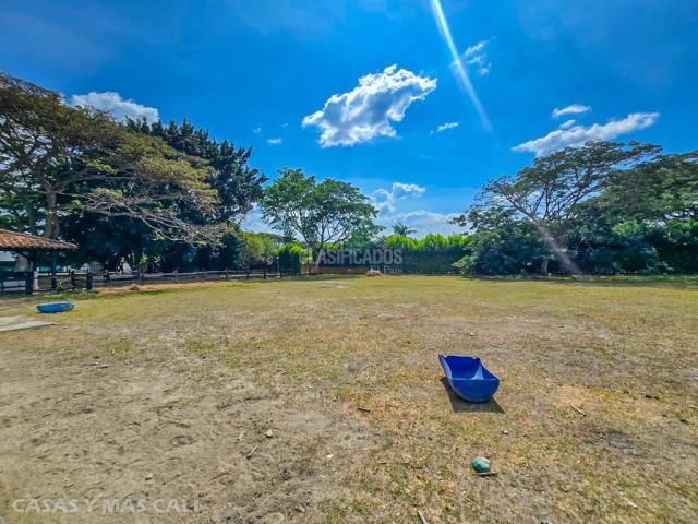 Lotes, Venta en Palmira
