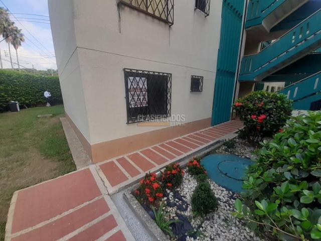 Apartamentos, Alquiler en Cañaverales