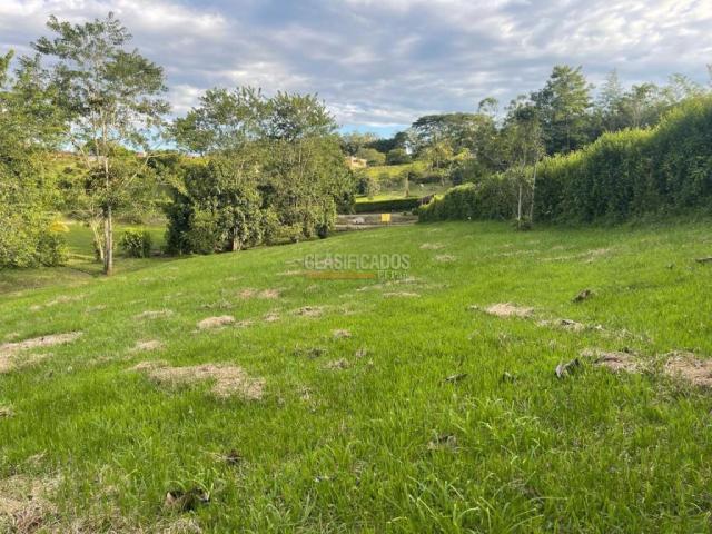Lotes, Venta en Viterbo