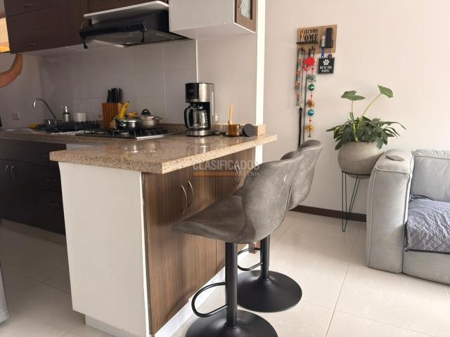 Apartamentos, Alquiler en Bellavista