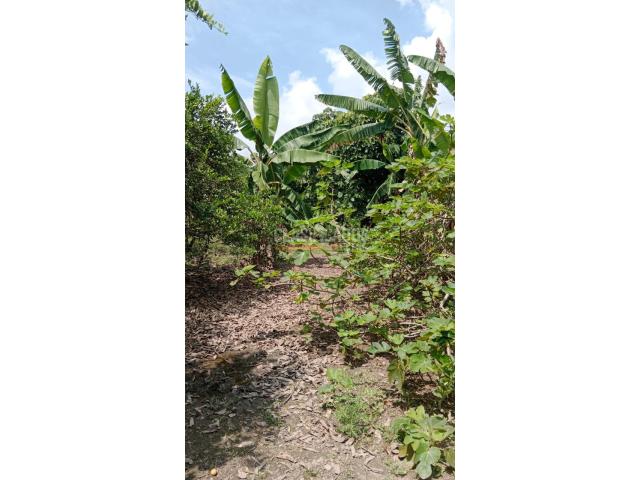 Fincas y Casas Campestres, Venta en Palmira