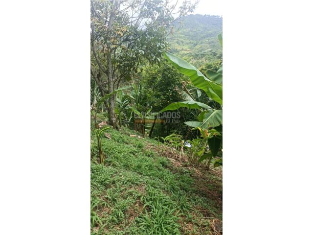 Lotes, Venta en Pance