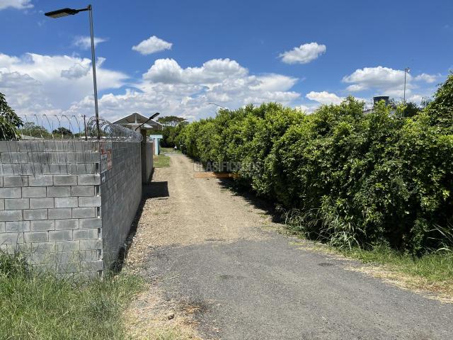 Lotes, Venta en Palmira